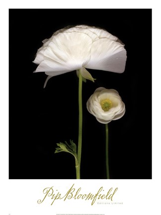 Framed Two Friends I Print