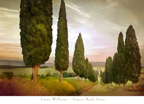 Framed Cypress Road, Siena Print
