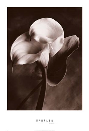 Framed Lily in Pose Print