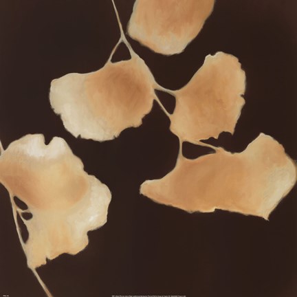 Framed Leaves of Origin I Print