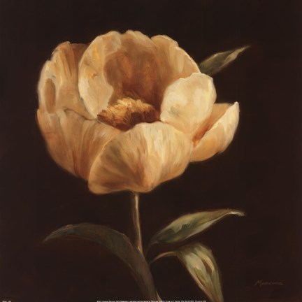 Framed Floral Symposium I Print