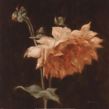 Framed Floral Symposium III Print