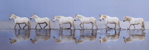 Framed Walk On Print