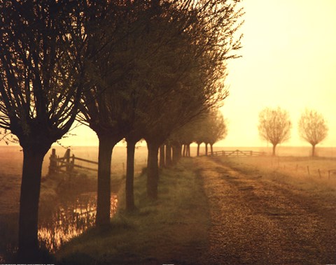 Framed Misty Morning Print