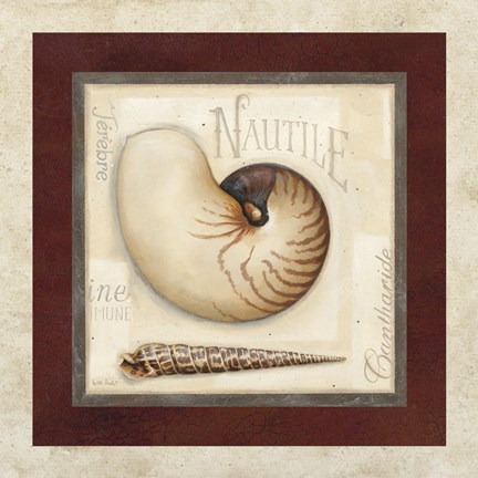 Framed Nautile Print