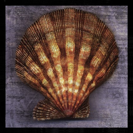 Framed Blush Rose Print