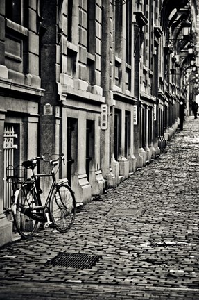 Framed Cobblestone Streets Print