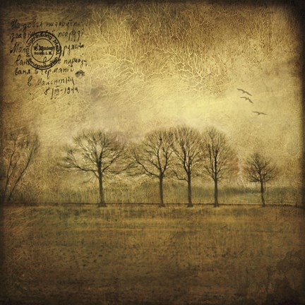 Framed Near Amsterdam Print