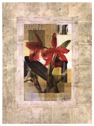 Framed EXOTIC BOOK I Print