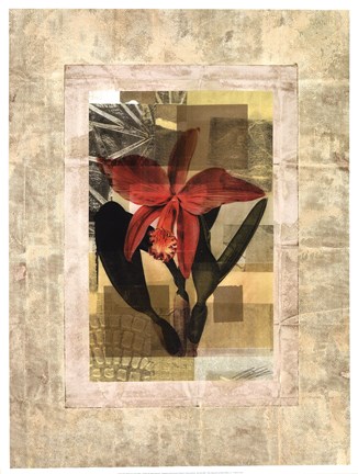 Framed EXOTIC BOOK II Print