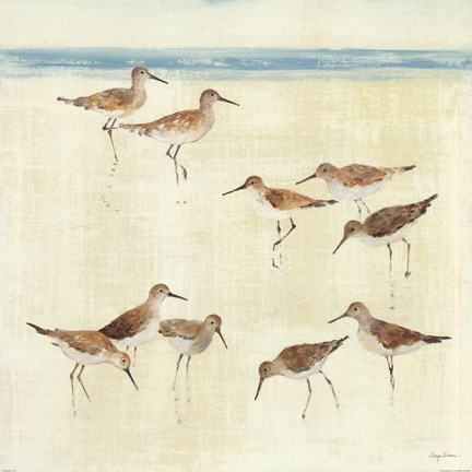 Framed Sandpipers Print