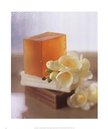 Framed Spa Setting I Print