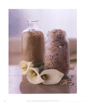 Framed Spa Setting II Print