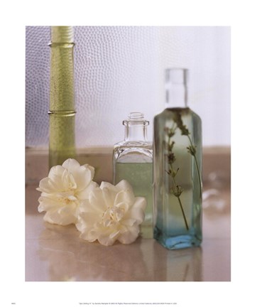 Framed Spa Setting III Print