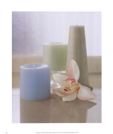 Framed Spa Setting IV Print