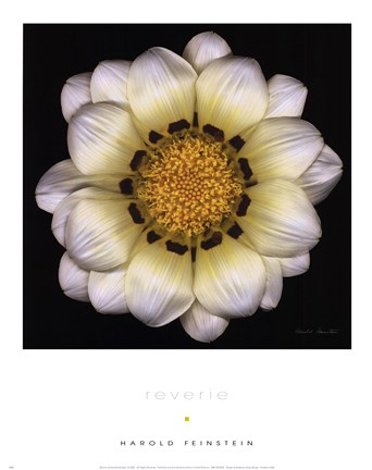 Framed Reverie Print