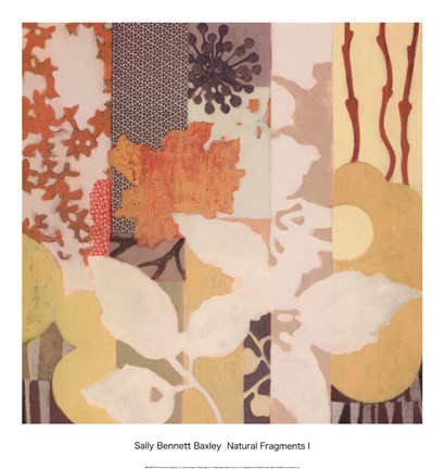 Framed Natural Fragments I Print