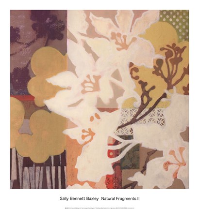 Framed Natural Fragments II Print