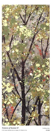 Framed Textures of Summer II Print