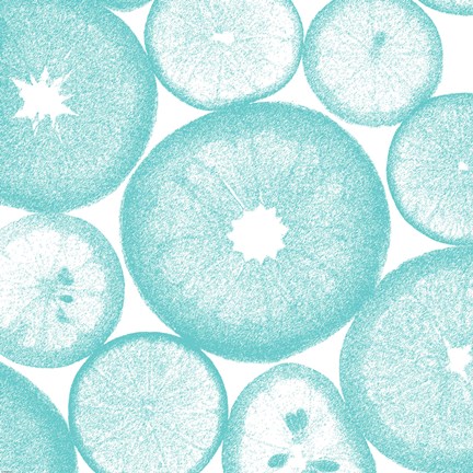 Framed Aqua Lemon Slices Print