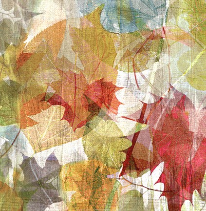 Framed Thicket I Right Print