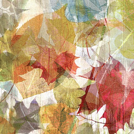 Framed Thicket I Right Print