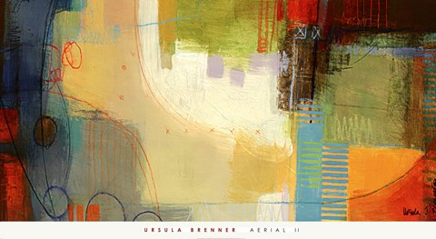 Framed Aerial II Print