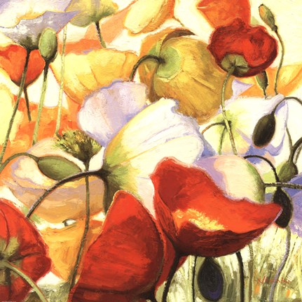 Framed Poppies Up Close Print