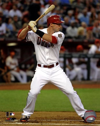 Framed Paul Goldschmidt 2013 Print