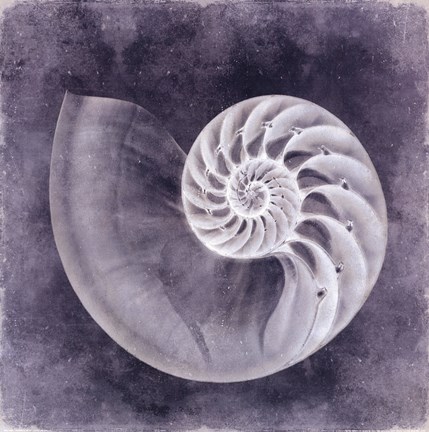 Framed Ocean Blue IV Print