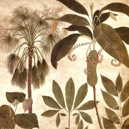 Framed Palm Persuasion II Print