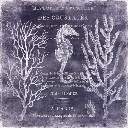 Framed Deep Blue Sea II Print