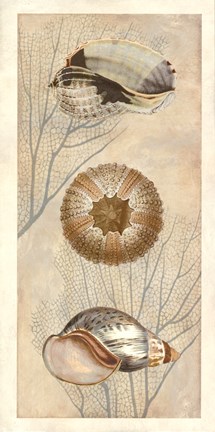 Framed Ocean Companions II Print