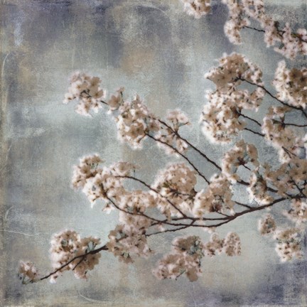 Framed Aqua Blossoms I Print