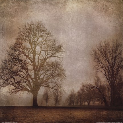 Framed Morning Meditation I Print