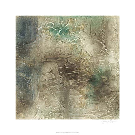 Framed Lunar Surface II Print