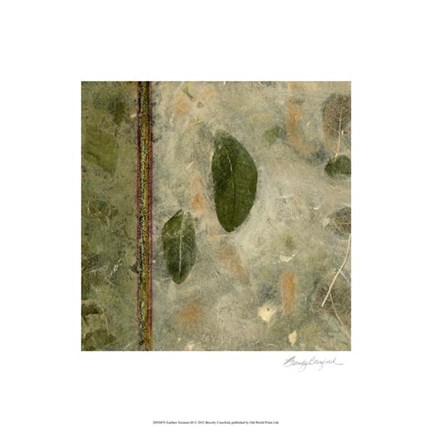 Framed Earthen Textures III Print
