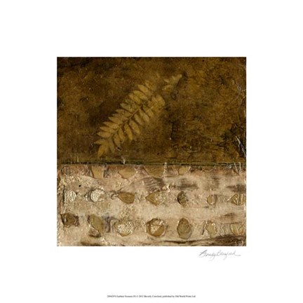 Framed Earthen Textures IX Print