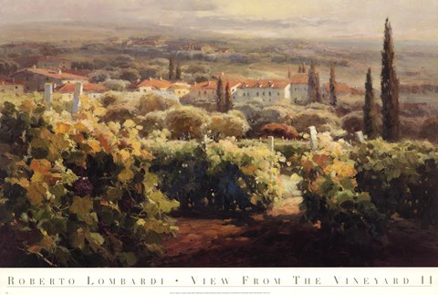 Framed View From the Vineyard II Print