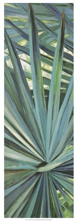 Framed Fan Palm I Print