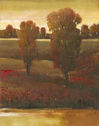 Framed Illuminating Sky II Print