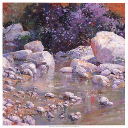 Framed Desert Surprise Print