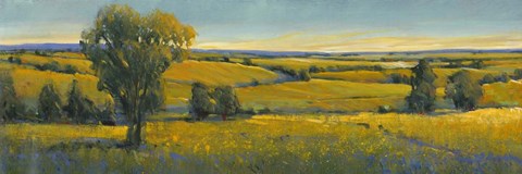 Framed Picturesque Scene I Print