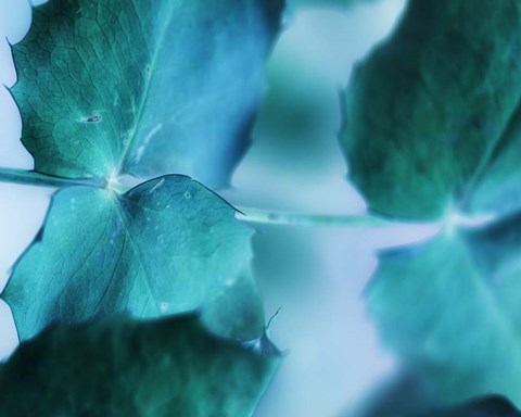 Framed Intricacies I Print