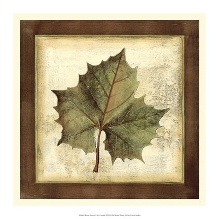 Rustic Leaves I - No Crackle by Vision Studio