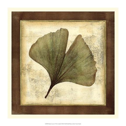 Framed Rustic Leaves IV - No Crackle Print