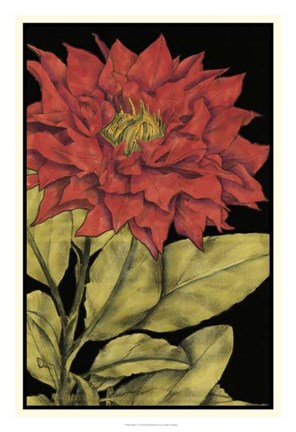 Framed Radiance I Print