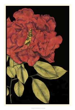 Framed Radiance III Print