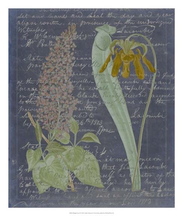 Framed Midnight Sonnet IV Print