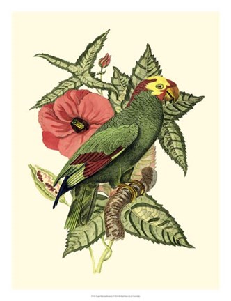 Framed Tropical Birds and Botanicals I Print